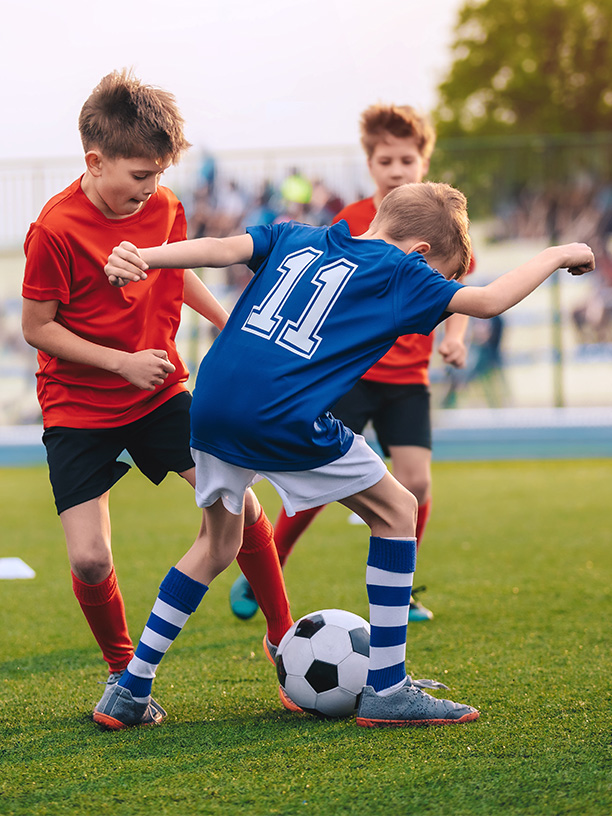 Спортивная среда — «Лосиноостровский парк»