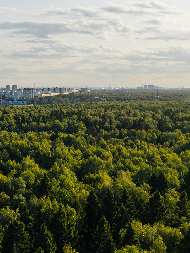 Развивающийся район Москвы — «Лосиноостровский парк»