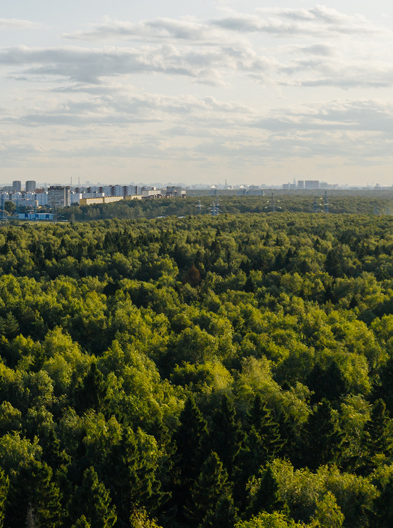 Район на востоке Москвы — «Лосиноостровский парк»