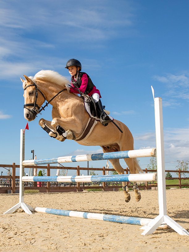 Конный клуб — «Квартал Мит»