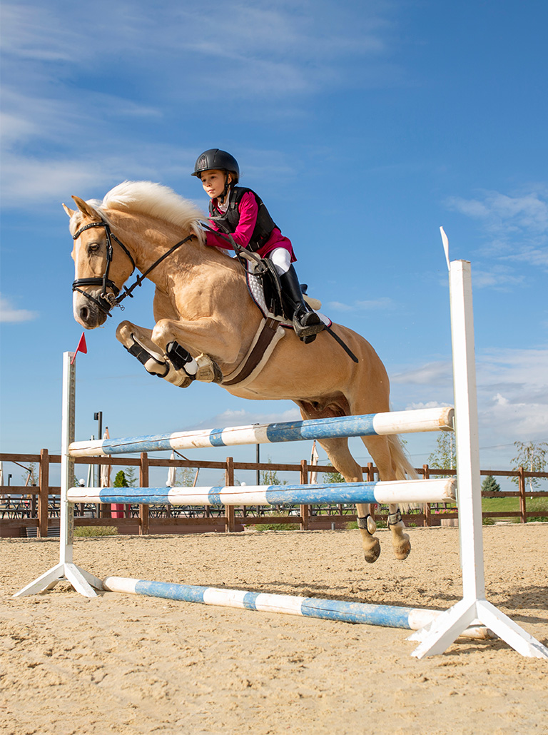 Конный клуб — «Квартал Мит» Конный клуб — «Квартал Мит»