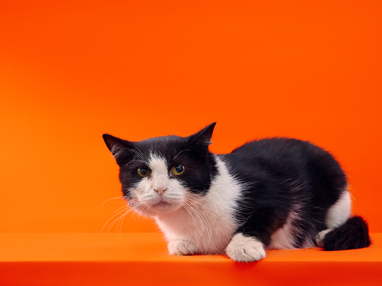 Коралина, 2 года Коралина, 2 года