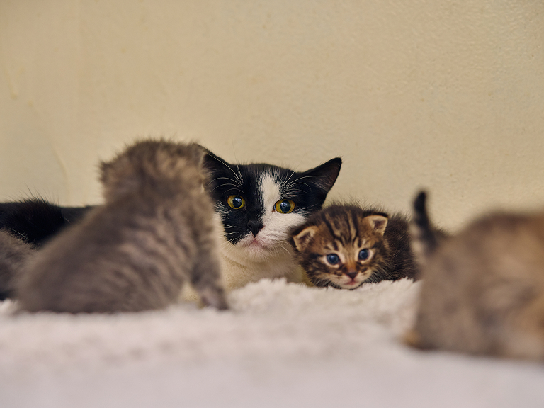 Изумрудинка, 2 года Изумрудинка, 2 года