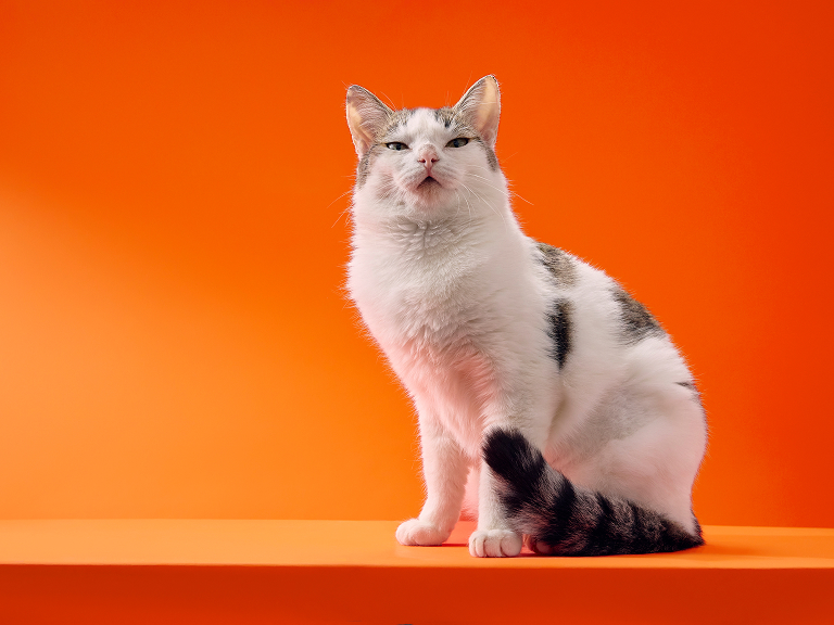 Аквамарина Аквамарина