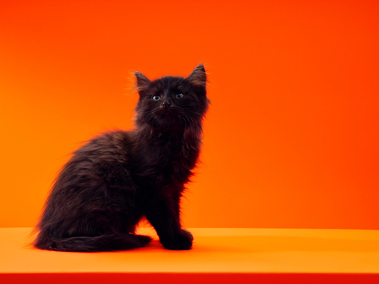 Луна, 2 месяца Луна, 2 месяца