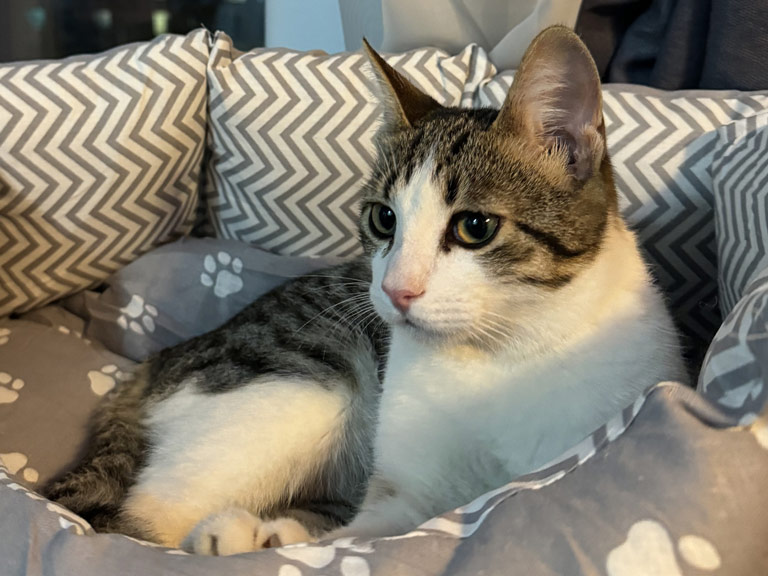 Эмили, 7 месяцев Эмили, 7 месяцев